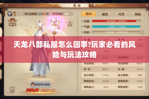 天龙八部私服怎么回事?玩家必看的风险与玩法攻略 天龙八部私服怎么回事?玩家必看的风险与玩法攻略