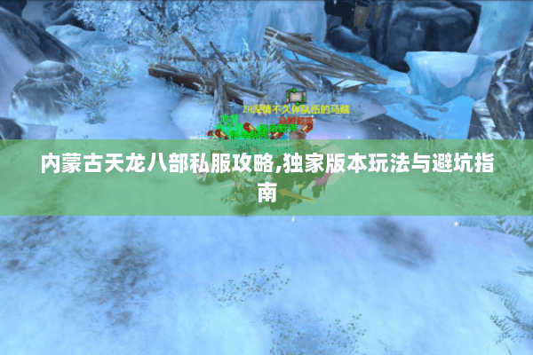 内蒙古天龙八部私服攻略,独家版本玩法与避坑指南 内蒙古天龙八部私服攻略,独家版本玩法与避坑指南