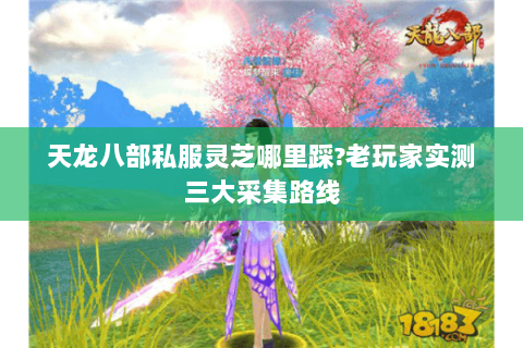 天龙八部私服灵芝哪里踩?老玩家实测三大采集路线 天龙八部私服灵芝哪里踩?老玩家实测三大采集路线