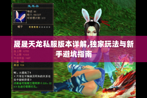 晟晟天龙私服版本详解,独家玩法与新手避坑指南 晟晟天龙私服版本详解,独家玩法与新手避坑指南