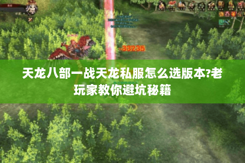 天龙八部一战天龙私服怎么选版本?老玩家教你避坑秘籍 天龙八部一战天龙私服怎么选版本?老玩家教你避坑秘籍