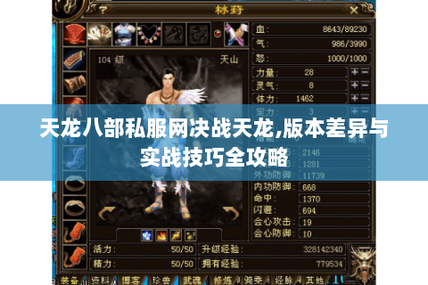 天龙八部私服网决战天龙,版本差异与实战技巧全攻略 天龙八部私服网决战天龙,版本差异与实战技巧全攻略