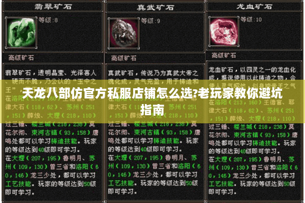 天龙八部仿官方私服店铺怎么选?老玩家教你避坑指南 天龙八部仿官方私服店铺怎么选?老玩家教你避坑指南