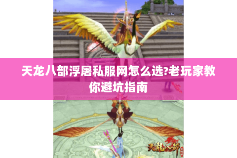 天龙八部浮屠私服网怎么选?老玩家教你避坑指南
