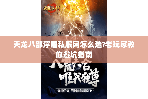天龙八部浮屠私服网怎么选?老玩家教你避坑指南 天龙八部浮屠私服网怎么选?老玩家教你避坑指南