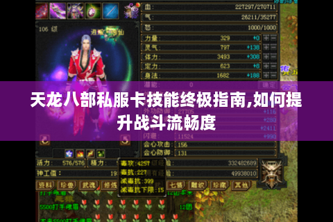 天龙八部私服卡技能终极指南,如何提升战斗流畅度
