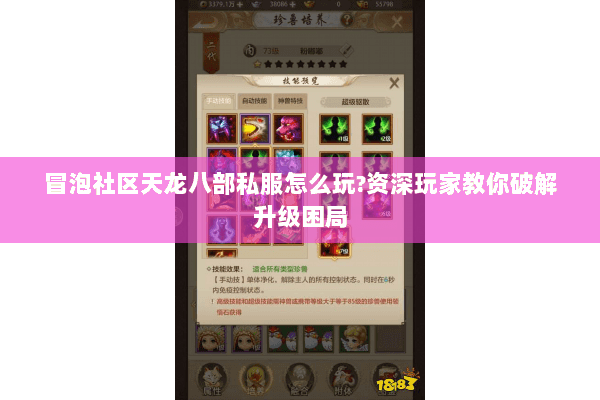冒泡社区天龙八部私服怎么玩?资深玩家教你破解升级困局
