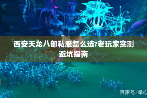 西安天龙八部私服怎么选?老玩家实测避坑指南 西安天龙八部私服怎么选?老玩家实测避坑指南