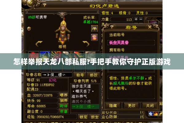 怎样举报天龙八部私服?手把手教你守护正版游戏