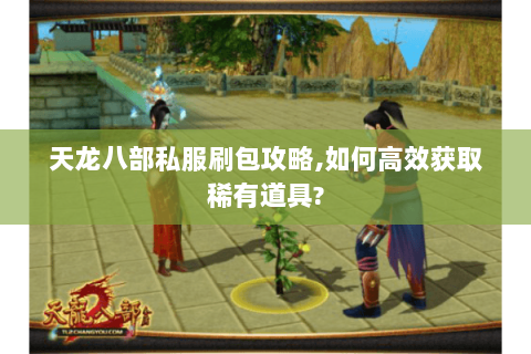 天龙八部私服刷包攻略,如何高效获取稀有道具? 天龙八部私服刷包攻略,如何高效获取稀有道具?