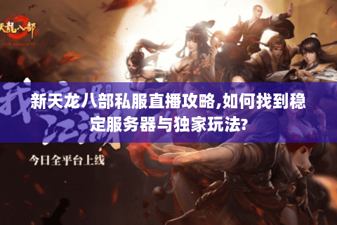 新天龙八部私服直播攻略,如何找到稳定服务器与独家玩法?