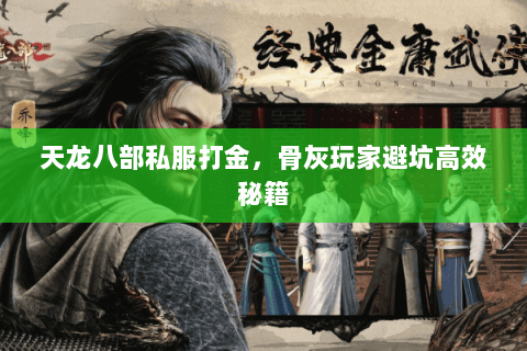 天龙八部私服打金，骨灰玩家避坑高效秘籍