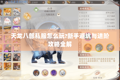 天龙八部私服怎么玩?新手避坑与进阶攻略全解 天龙八部私服怎么玩?新手避坑与进阶攻略全解