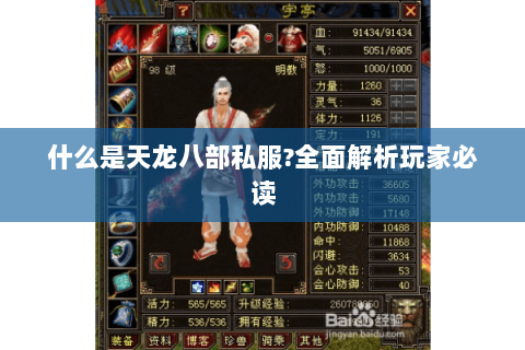 什么是天龙八部私服?全面解析玩家必读