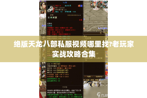 绝版天龙八部私服视频哪里找?老玩家实战攻略合集