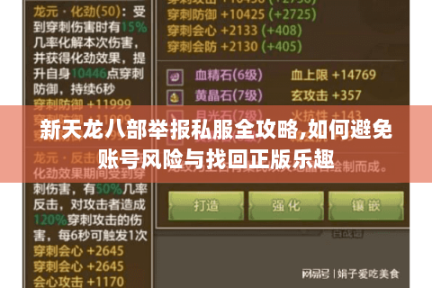 新天龙八部举报私服全攻略,如何避免账号风险与找回正版乐趣