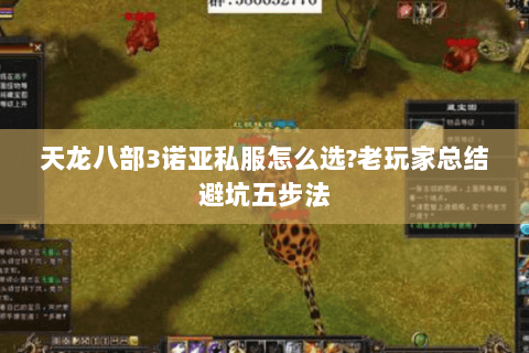 天龙八部3诺亚私服怎么选?老玩家总结避坑五步法