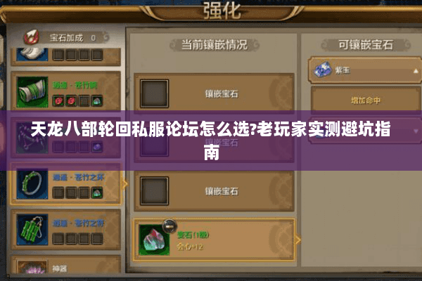 天龙八部轮回私服论坛怎么选?老玩家实测避坑指南