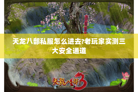 天龙八部私服怎么进去?老玩家实测三大安全通道 天龙八部私服怎么进去?老玩家实测三大安全通道