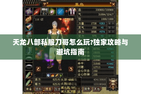 天龙八部私服刀哥怎么玩?独家攻略与避坑指南 天龙八部私服刀哥怎么玩?独家攻略与避坑指南