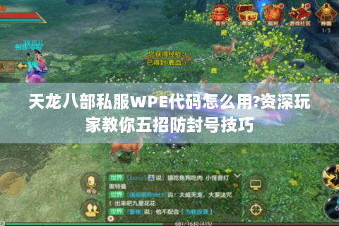 天龙八部私服WPE代码怎么用?资深玩家教你五招防封号技巧 天龙八部私服WPE代码怎么用?资深玩家教你五招防封号技巧