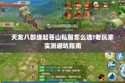 天龙八部缘起苍山私服怎么选?老玩家实测避坑指南 天龙八部缘起苍山私服怎么选?老玩家实测避坑指南