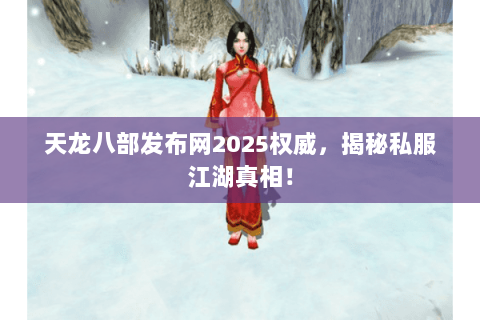 天龙八部发布网2025权威，揭秘私服江湖真相！