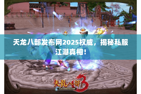 天龙八部发布网2025权威，揭秘私服江湖真相！