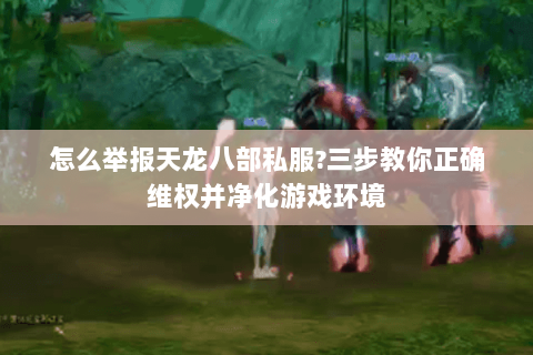 怎么举报天龙八部私服?三步教你正确维权并净化游戏环境