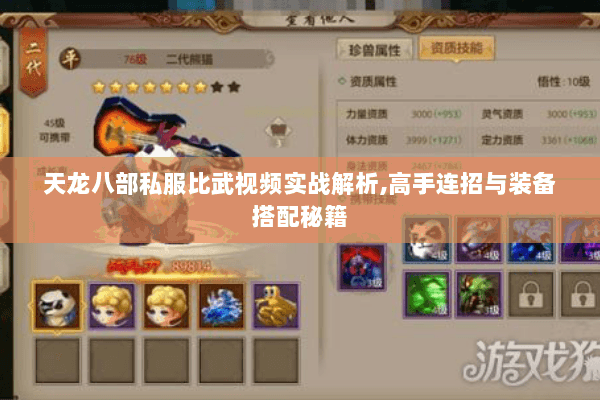 天龙八部私服比武视频实战解析,高手连招与装备搭配秘籍 天龙八部私服比武视频实战解析,高手连招与装备搭配秘籍