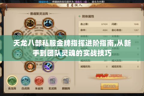 天龙八部私服金牌指挥进阶指南,从新手到团队灵魂的实战技巧 天龙八部私服金牌指挥进阶指南,从新手到团队灵魂的实战技巧