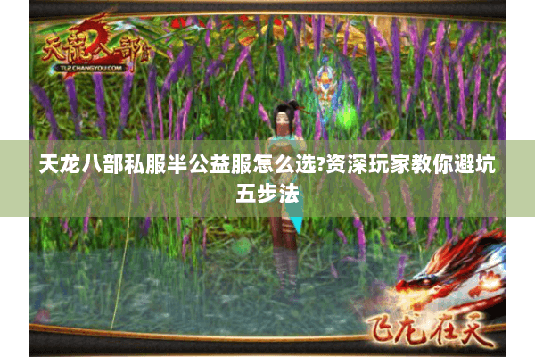 天龙八部私服半公益服怎么选?资深玩家教你避坑五步法 天龙八部私服半公益服怎么选?资深玩家教你避坑五步法