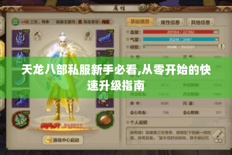 天龙八部私服新手必看,从零开始的快速升级指南 天龙八部私服新手必看,从零开始的快速升级指南