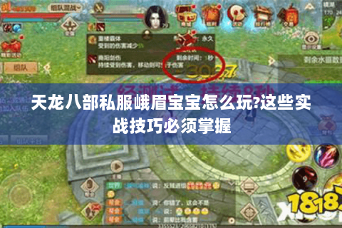 天龙八部私服峨眉宝宝怎么玩?这些实战技巧必须掌握 天龙八部私服峨眉宝宝怎么玩?这些实战技巧必须掌握