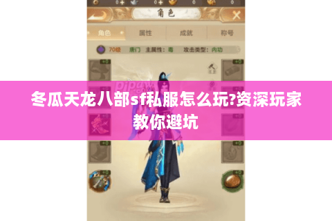 冬瓜天龙八部sf私服怎么玩?资深玩家教你避坑