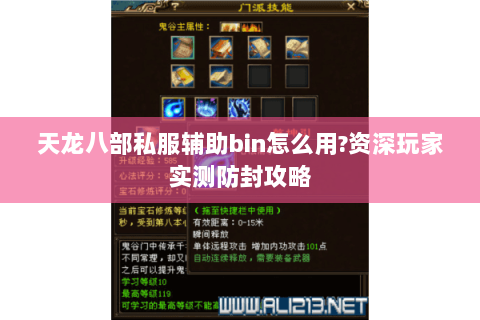 天龙八部私服辅助bin怎么用?资深玩家实测防封攻略
