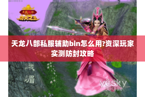 天龙八部私服辅助bin怎么用?资深玩家实测防封攻略
