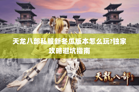 天龙八部私服新冬瓜版本怎么玩?独家攻略避坑指南 天龙八部私服新冬瓜版本怎么玩?独家攻略避坑指南