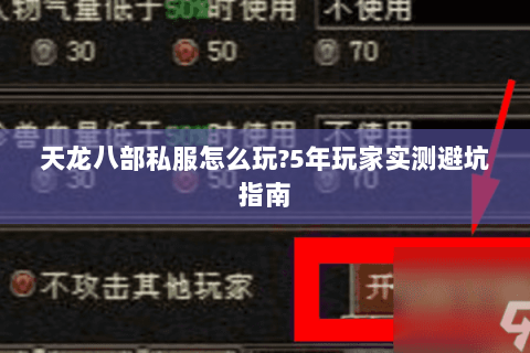 天龙八部私服怎么玩?5年玩家实测避坑指南 天龙八部私服怎么玩?5年玩家实测避坑指南