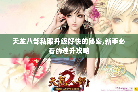 天龙八部私服升级好快的秘密,新手必看的速升攻略 天龙八部私服升级好快的秘密,新手必看的速升攻略