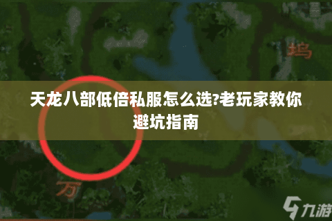 天龙八部低倍私服怎么选?老玩家教你避坑指南