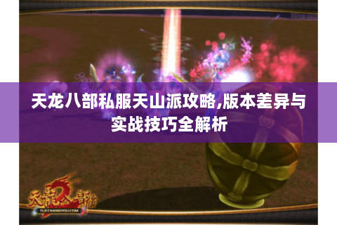 天龙八部私服天山派攻略,版本差异与实战技巧全解析 天龙八部私服天山派攻略,版本差异与实战技巧全解析