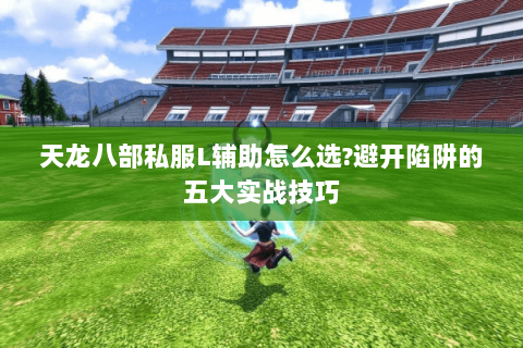 天龙八部私服L辅助怎么选?避开陷阱的五大实战技巧 天龙八部私服L辅助怎么选?避开陷阱的五大实战技巧