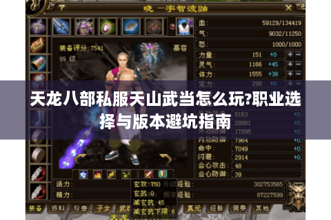 天龙八部私服天山武当怎么玩?职业选择与版本避坑指南 天龙八部私服天山武当怎么玩?职业选择与版本避坑指南