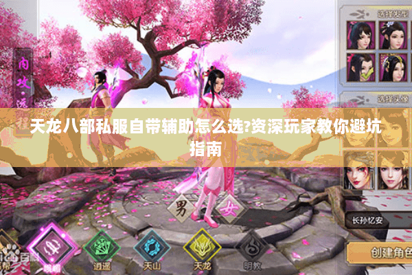 天龙八部私服自带辅助怎么选?资深玩家教你避坑指南