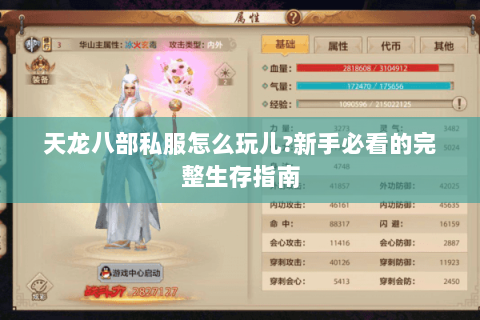 天龙八部私服怎么玩儿?新手必看的完整生存指南 天龙八部私服怎么玩儿?新手必看的完整生存指南