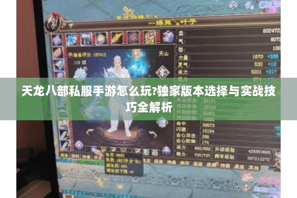 天龙八部私服手游怎么玩?独家版本选择与实战技巧全解析