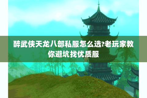 醉武侠天龙八部私服怎么选?老玩家教你避坑找优质服 醉武侠天龙八部私服怎么选?老玩家教你避坑找优质服