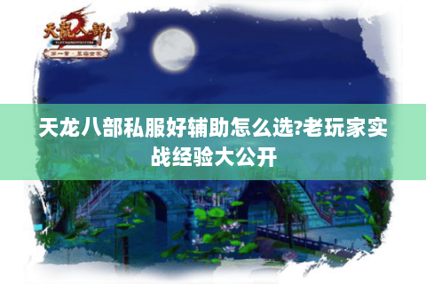 天龙八部私服好辅助怎么选?老玩家实战经验大公开