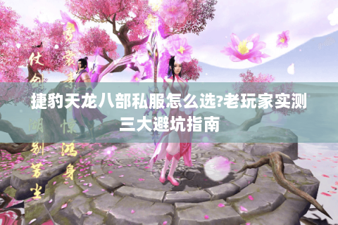 捷豹天龙八部私服怎么选?老玩家实测三大避坑指南